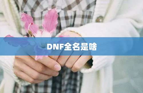 DNF全名是啥