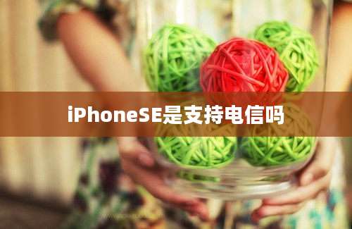 iPhoneSE是支持电信吗