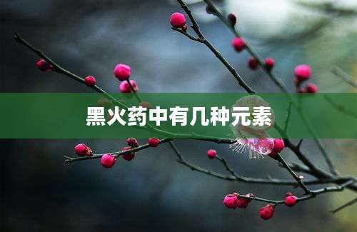 黑火药中有几种元素