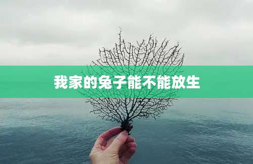 我家的兔子能不能放生