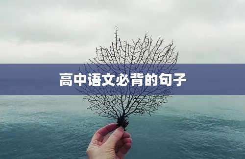 高中语文必背的句子