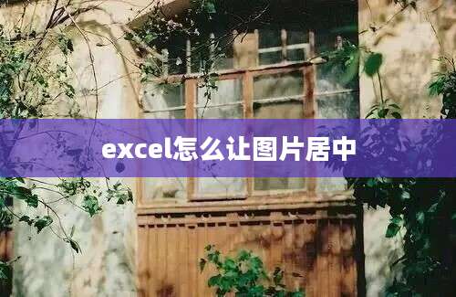 excel怎么让图片居中