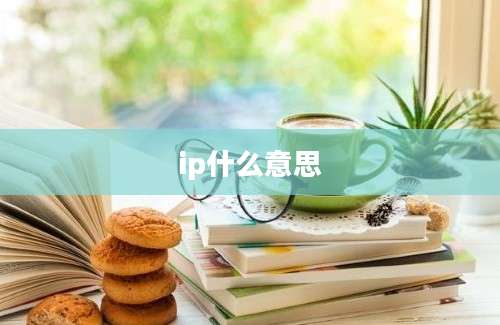 ip什么意思