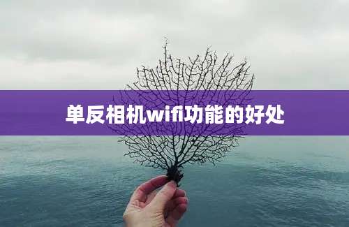 单反相机wifi功能的好处