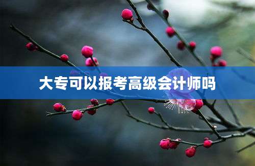 大专可以报考高级会计师吗