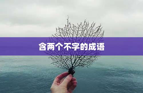 含两个不字的成语