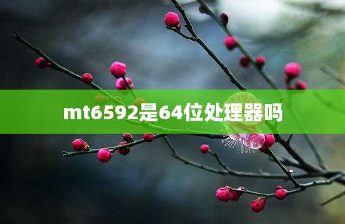 mt6592是64位处理器吗