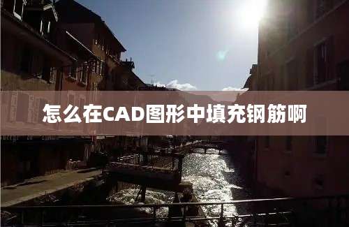 怎么在CAD图形中填充钢筋啊