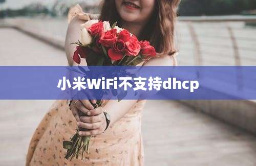 小米WiFi不支持dhcp