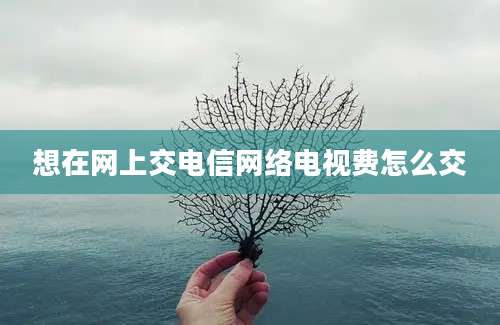 想在网上交电信网络电视费怎么交