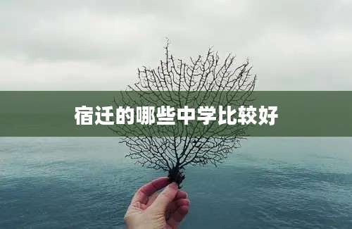 宿迁的哪些中学比较好