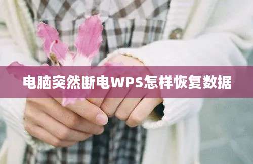 电脑突然断电WPS怎样恢复数据