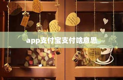 app支付宝支付啥意思