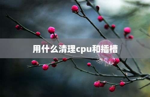 用什么清理cpu和插槽