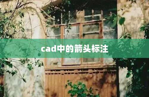 cad中的箭头标注