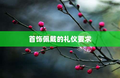 首饰佩戴的礼仪要求