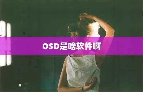 OSD是啥软件啊