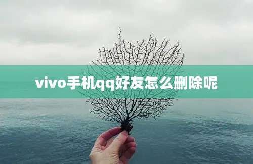 vivo手机qq好友怎么删除呢