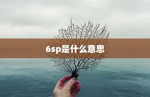 6sp是什么意思