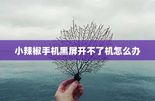 小辣椒手机黑屏开不了机怎么办