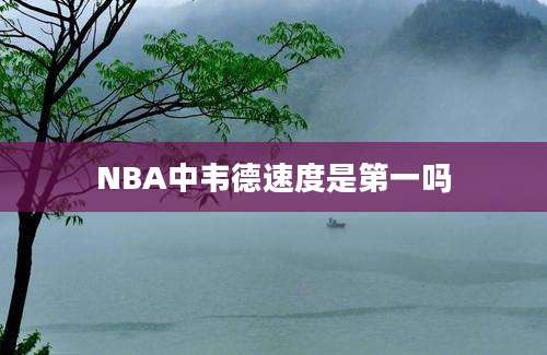 NBA中韦德速度是第一吗