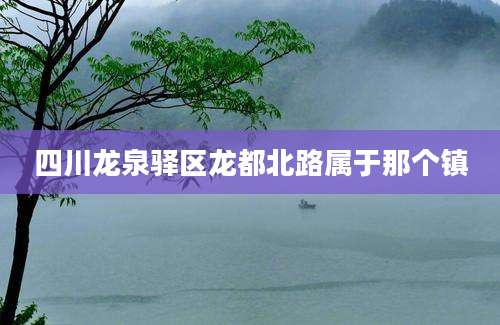 四川龙泉驿区龙都北路属于那个镇