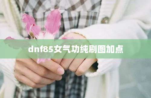 dnf85女气功纯刷图加点