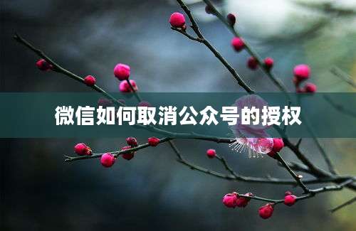 微信如何取消公众号的授权