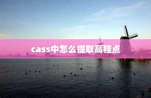 cass中怎么提取高程点