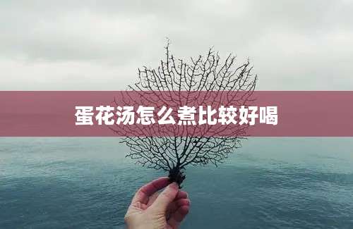 蛋花汤怎么煮比较好喝