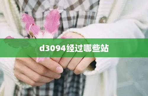 d3094经过哪些站