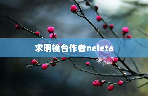 求明镜台作者neleta