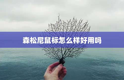 森松尼鼠标怎么样好用吗