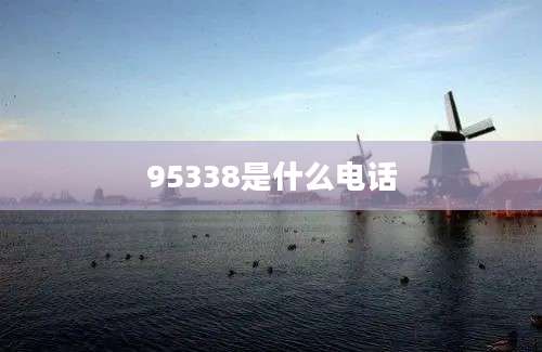 95338是什么电话