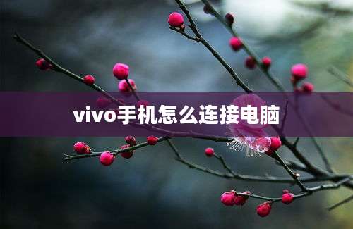 vivo手机怎么连接电脑