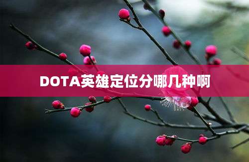 DOTA英雄定位分哪几种啊