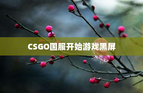 CSGO国服开始游戏黑屏