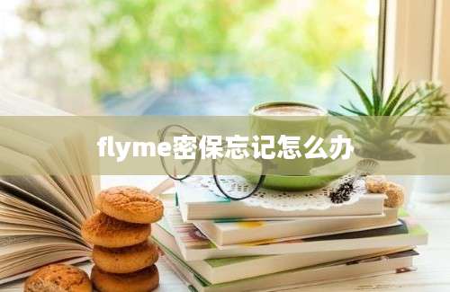 flyme密保忘记怎么办