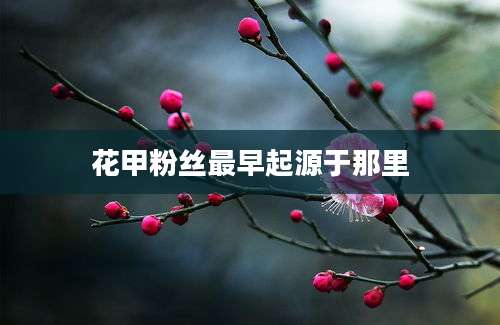 花甲粉丝最早起源于那里