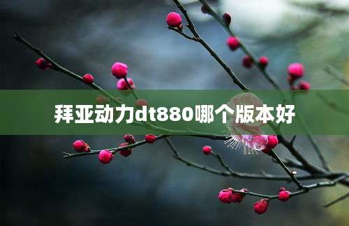 拜亚动力dt880哪个版本好