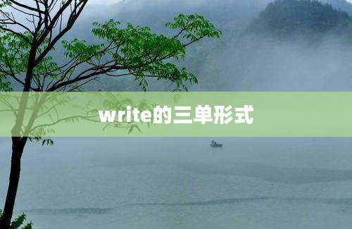 write的三单形式