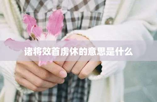 诸将效首虏休的意思是什么