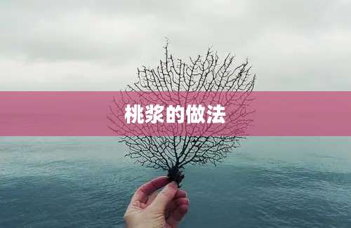 桃浆的做法