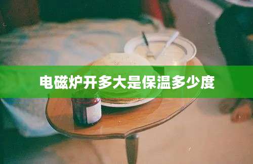 电磁炉开多大是保温多少度