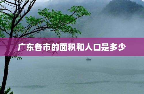 广东各市的面积和人口是多少