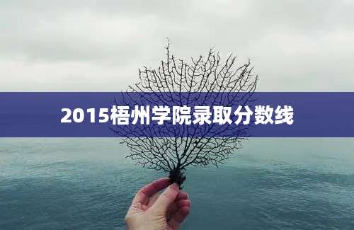 2015梧州学院录取分数线