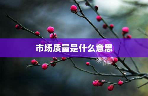 市场质量是什么意思