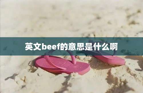 英文beef的意思是什么啊