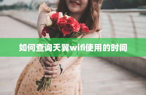 如何查询天翼wifi使用的时间