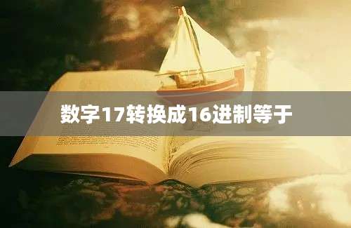 数字17转换成16进制等于